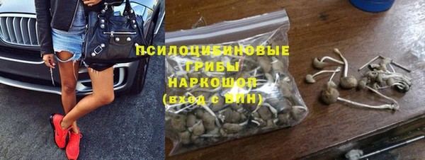 индика Артём