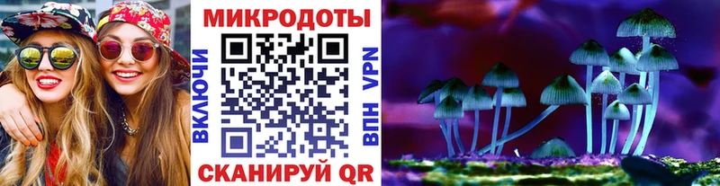 Псилоцибиновые грибы MAGIC MUSHROOMS  Торопец 
